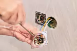 Ac wiring and voltage services Smart